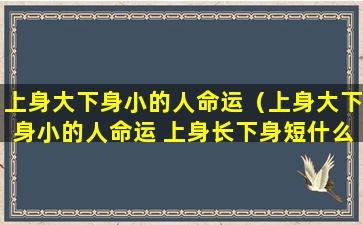 上身大下身小的人命运（上身大下身小的人命运 上身长下身短什么命）
